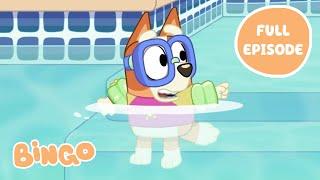 Bingo in the Pool  | Bluey Series 1 FULL EPISODE | Bingo - Official Channel