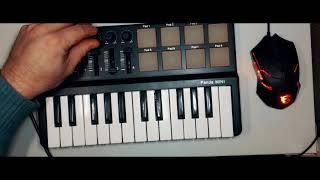 Worlde Panda MINI + FL Studio