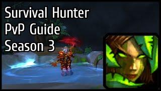 Bicmex | R1 Survival Hunter PvP Guide | Dragonflight Season 3