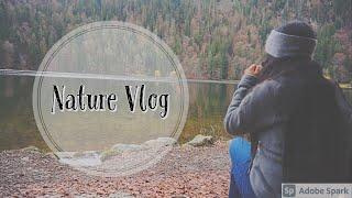 A small hiking trip to the Blackforest | NatureVlog | Feldsee | Germanyvlog | Episode 5