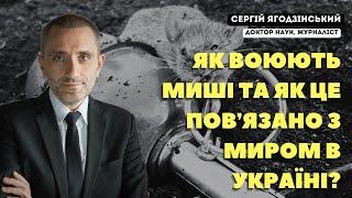 Як воюють миші та як це повʼязано з миром в Україні?