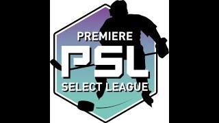 Quick-witted goal in the last minute of the game (PSL-20250321-Moutnice)