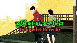 Tumi Chara Ekdin _ তুমি ছাড়া একদিন _(Slowed & Reverb)_Lofi Song Slowed & Reverb