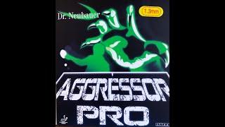 Dr. Neubauer Aggressor Pro 1.3 - Can It Be Controlled?