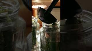 Polish pickles asmr! more recipes in my video