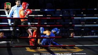 DAY 1 - HIT SHOTS | UAE Muaythai Championship 2019
