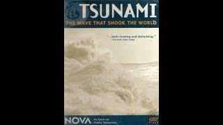 PBS ~ NOVA "Wave That Shook the World"  (Originally aired on PBS: March 29, 2005)