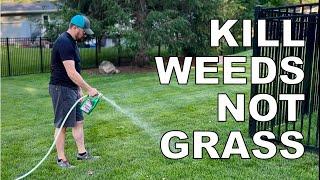 Kill weeds not grass. Creeping Charlie, crabgrass and clover. Summer weed control made easy.