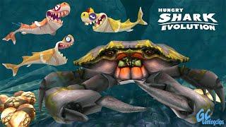 FIN, FINN N FINNY vs Giant CRAB in Hungry Shark Evolution