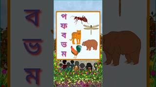 বাংলা বর্ণমালা প ফ ব ভ ম। Bangla Alphabet. #bangla #education