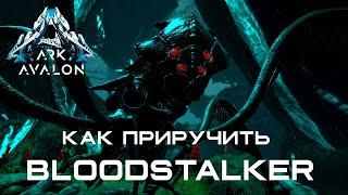 BLOODSTALKER (ПАУК) - КАК ПРИРУЧИТЬ - DLC Genesis - ARK: Survival Evolved - AVALON ARK