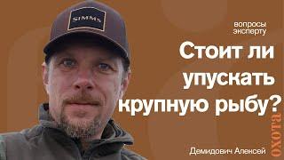 Стоит ли отпускать крупную рыбу? Алексей Демидович о маточном стаде щуки.