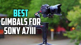 Top 5 Best Gimbals for Sony a7iii & Canon, Nikon, Fujifilm Review 2023 | Vertical Shooting Gimbals