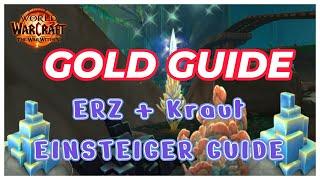 The War Within Kräuter + Erz Farm Einsteiger GUIDE - 46k GOLD DIE STUNDE