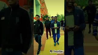 monfort brothers bohra