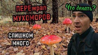 Что делать, если нечаянно съел много гриба?