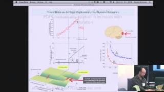 Building and Interacting with Virtual Brain