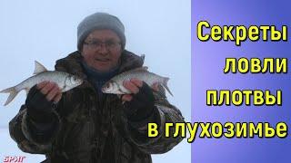 Секреты ловли плотвы в глухозимье