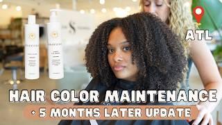 curly hair color salon maintenance + 5 months later update!