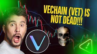 VECHAIN (VET) 99% OF TRADERS WILL MISS OUT ON THIS [NEXT TARGETS]