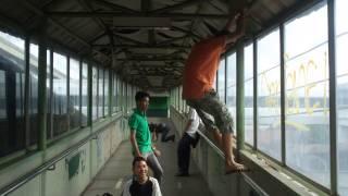 Harlem Shake (No Editors) Vol.5