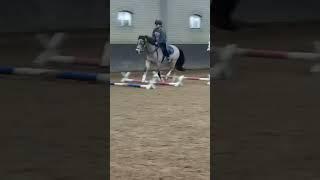 cjay 🩷 #horse #equestrian #riding