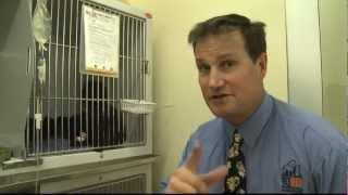 VetMed Randwick Tour: behind the scenes