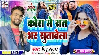 AUDIO SONG // Pintu Raja new Bhojpuri song, dj remix song कोरा में रात भर सुतावेला