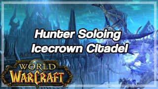 [World of Warcraft] Hunter Soloing Icecrown Citadel, all Bosses