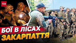 ВІЙСЬКОВІ ДІЇ, ЯКІ НЕ ЧЕКАЛИ! В лісах ЗАКАРПАТТЯ ВИБУХИ І ПОСТРІЛИ