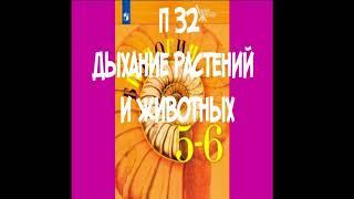 П 32 ДЫХАНИЕ РАСТЕНИЙ И ЖИВОТНЫХ / КАК ДЫШАТ РАСТЕНИЯ / КАК ДЫШАТ ЖИВОТНЫЕ / 5-6 КЛАСС