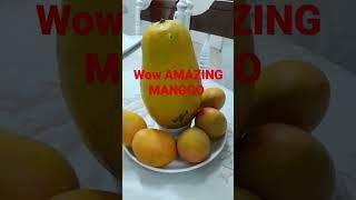 VERY BIG MANGGO AND SMALL #yummy #food #viral ##shortvideo