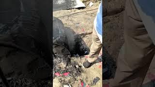 Bitumen Temparature Test 120°C for Prime coat and Carpeting 220°C।।।