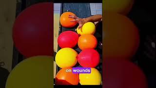“Doctors HATE This 3,000-Year-Old Honey Trick ”2025#shorts#shrotsfeed#viral#finfact
