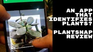 PlantSnap App Review - An App That Identifies Plants, Trees Or Does It? [Free Android/iPhone App]