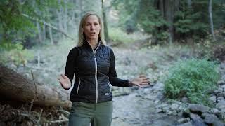 Introduction to Forest Bathing