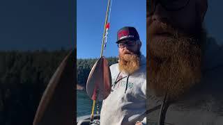 Kokanee fishing  nov 25 #kokaneefishing