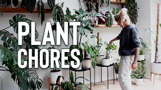 Plant Chores at home! | Get cozy with me