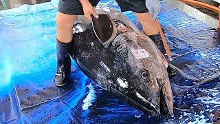 400 KG Giant Bluefin Tuna cutting for Sashimi - Bluefin Tuna cutting skill