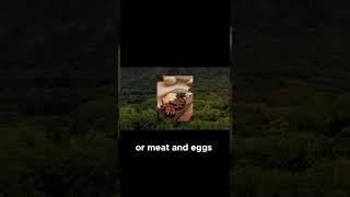 Eliminate SEED OILS from your diet https://www.youtube.com/watch?v=RWGi6jR1-0k&t=4s
