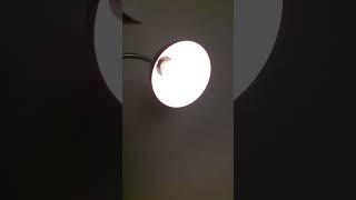 Smart bulb 