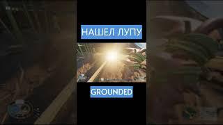 НАШЕЛ ЛУПУ -- GROUNDED