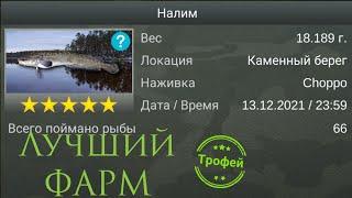 | My Fishing World | ФАРМ для подписчиков | Налим |