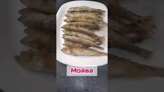 СУПЕР ВКУСНАЯ РЫБКА #мойва #рыба #какприготовитьмойву #мойварецепты  #жаренаямойва #мойважареная