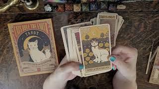 CATS! CATS! CATS! Cats Rule the Earth Tarot Card Deck Review - Mini Tarot Reading ENERGY