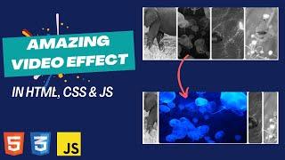 Add this cool video playing effect in your website right now | AWE Part - 6