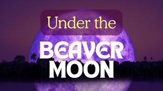 Under the Beaver Moon | Mystical Full Moon Song