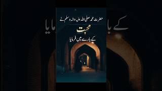Best Islamic Motivational | HADEES PAK ️ Peace be Upon Him #shorts #shortvideo #ytshorts | Love