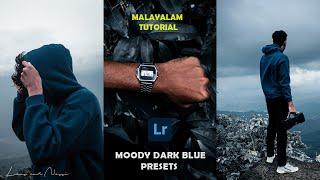 Moody Dark Blue Presets Lightroom Mobile Edit  | Mobile Presets Free Dng | Malayalam Tutorial