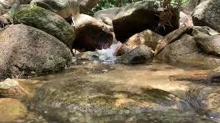 Close-up Calming River Flow Sounds for Deep Relaxation and Anxiety Relief 3 Hour Video